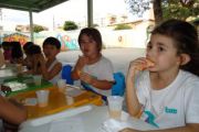 Projeto Alimentao Saudvel  Alface