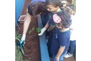 Educao Infantil participou do Projeto Horta